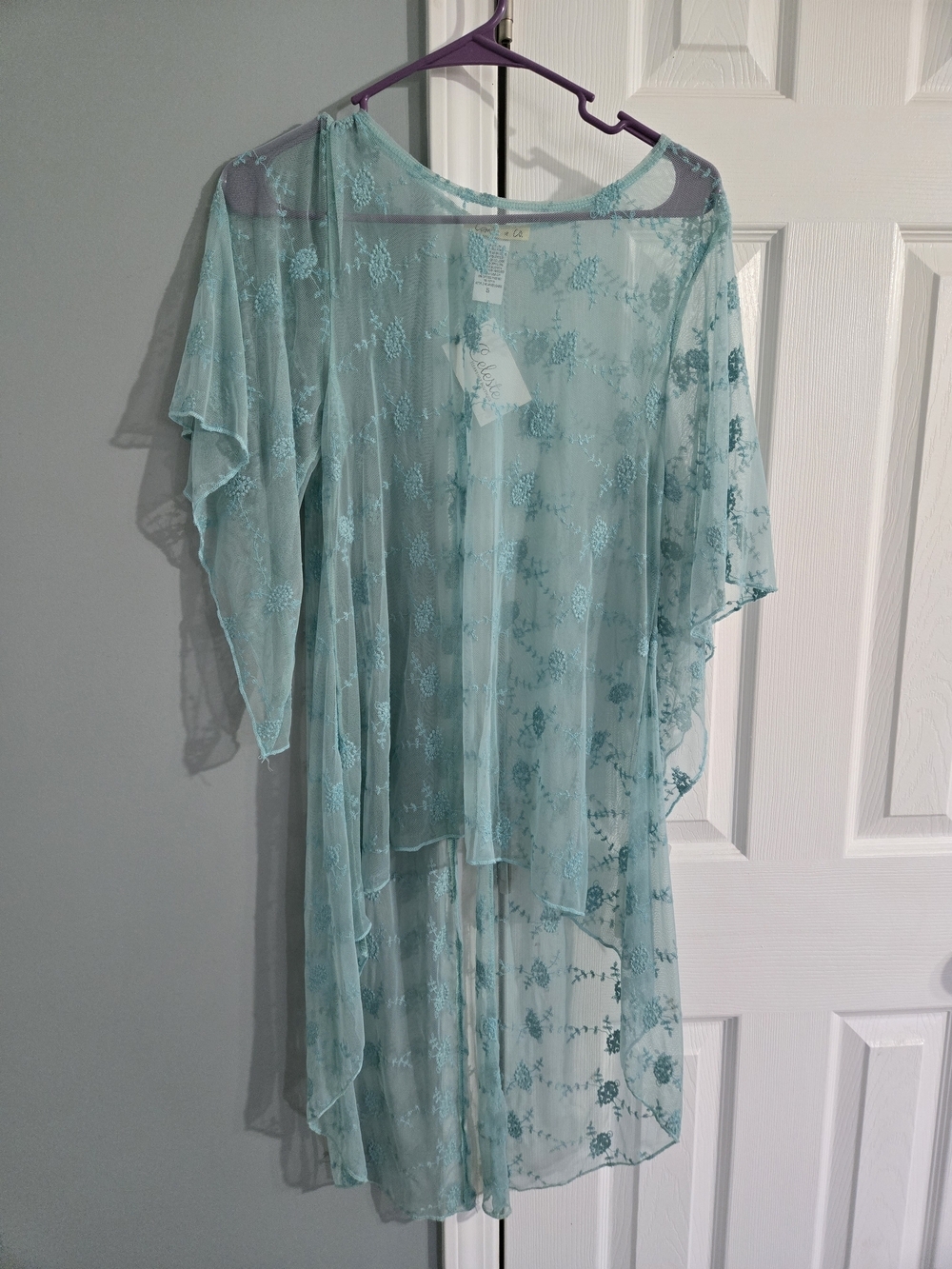 NWT Camille & Co Sheer Mint Floral Lace Top Size S